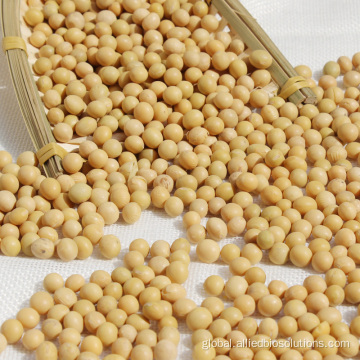 China small molecular Soybean peptide powder Manufactory